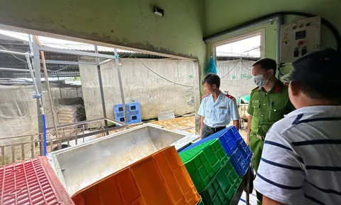 Bên trong lò giết mổ nơi chụp bức ảnh heo bệnh của C.P. ở Hậu Giang