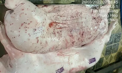 Lợn bệnh "núp bóng" trong xúc xích, lạp xưởng như thế nào?