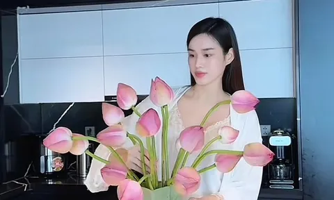 Hoa hậu Đỗ Thị Hà vướng tin đồn sắp lên xe hoa vì một hành động