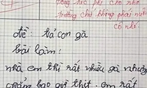 Bài văn tả gà của học sinh lớp 3 bị cô chấm 4 điểm, dân mạng tranh cãi ầm ĩ