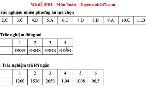 Đáp án đề thi môn Toán tốt nghiệp THPT 2025 Full mã đề chính xác