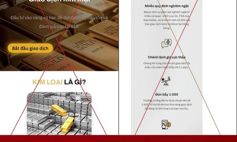 Vừa rút lãi 2.5 triệu, cô gái Hà Nội tiếp tục nạp 300 triệu thì mất trắng