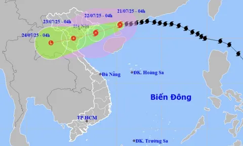 Bão Wipha giảm 3 cấp, dự báo mạnh lên khi vào đất liền Quảng Ninh - Nghệ An