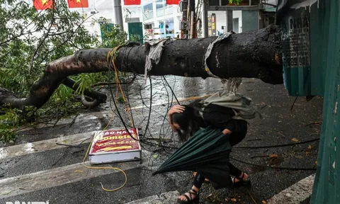 Thủ tướng: Hạn chế người dân ra đường khi bão đổ bộ