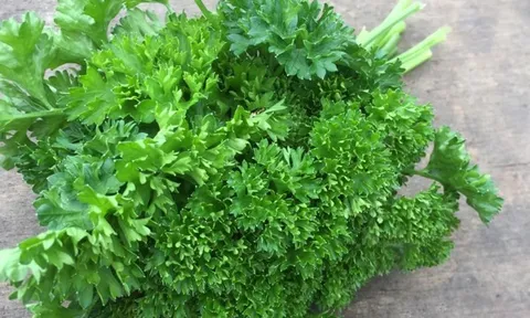 Một loại rau được Mỹ đánh giá tốt nhất thế giới, ở chợ Việt Nam bán rất rẻ, gặp phải mua ngay