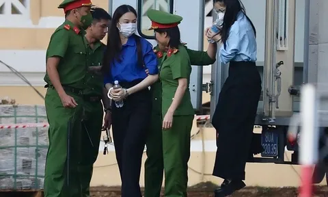 Hoa hậu Thuỳ Tiên, Hằng Du mục, Quang Linh Vlogs hầu toà