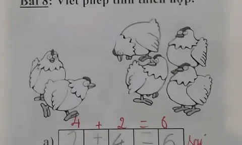 Học trò làm bài toán '2+4=6' bị chấm sai, nhiều người lại đồng tình với giáo viên