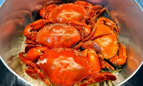 Chuyên gia cảnh báo 4 bộ phận của cua biển không ăn, dễ gây hại sức khỏe