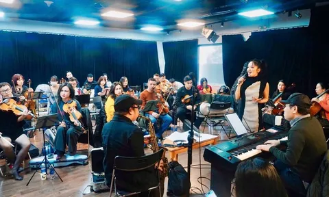 Diva Hồng Nhung, Hà Trần không nhận được cát-xê, đau lòng khi đêm nhạc bị hủy