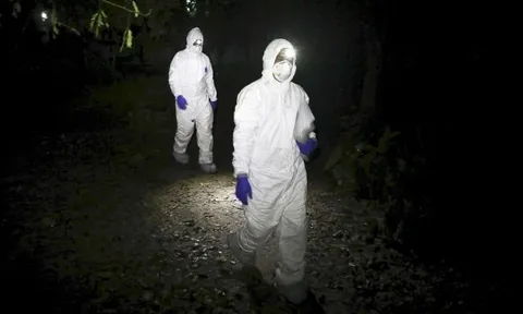 Khác biệt giữa lây nhiễm virus Nipah và Covid-19