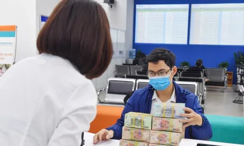 Hướng dẫn cá nhân, hộ kinh doanh kê khai và nộp thuế mới nhất