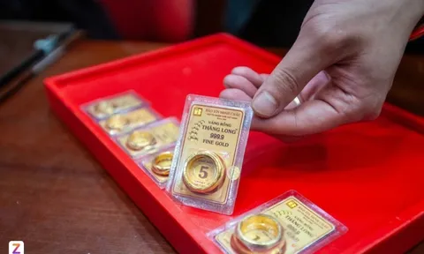 Giá vàng trong nước rơi tự do