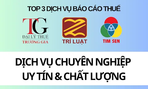 Top 3 công ty dịch vụ báo cáo thuế uy tín tại TP.HCM