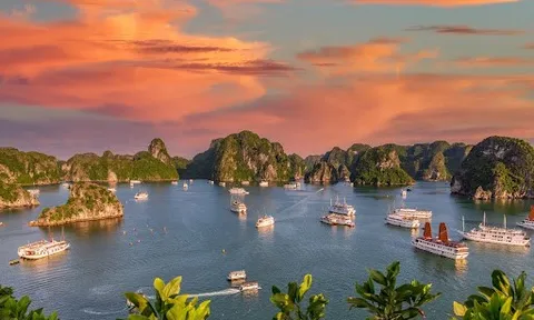 Discover the Best Halong Bay Cruise 2 Nights for a Refined Experience
