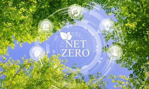 Hành trình Net Zero: Doanh nghiệp Việt chạy đua với chiến lược hạ tầng xanh