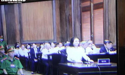 Hầu toà, Nguyễn Phương Hằng khai gì?