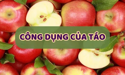 Táo có công dụng gì? Những lợi ích áng kinh ngạc cho sức khỏe