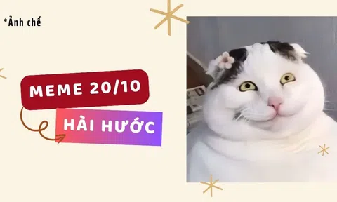 Top những meme 20/10 hài hước, dân tình cười nghiêng ngả trước loạt ảnh chế 20/10