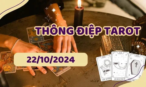 Thông điệp Tarot 22/10 cho 12 cung hoàng đạo: Kim Ngưu bốc The Hierophant, Cự Giải được The Devil ngược