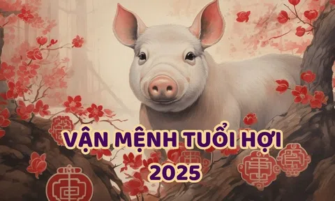 Dự đoán tử vi tuổi Hợi năm 2025: Vận mệnh, cơ hội, thách thức