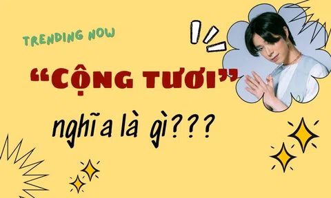 Từ điển gen Z: "Cộng tươi" là gì? Giải mã từ lóng hot trend rần rần trên mạng