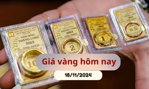 Giá vàng hôm nay (19/11/2024): Tăng dựng đứng sau chuỗi ngày giảm sâu