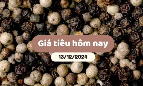 Giá tiêu hôm nay 13/12/2024: Trong nước giảm tới 2,000 đồng/kg