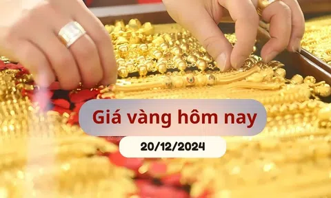 Giá vàng hôm nay 20/12/2024: Nhẫn trơn và SJC tiếp tục tuột dốc