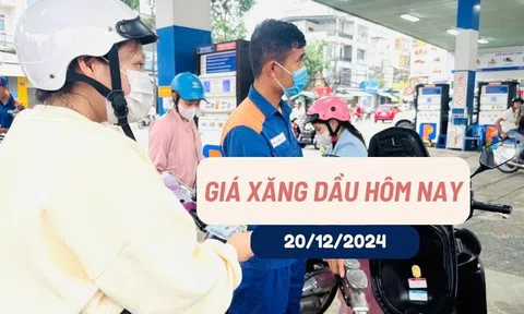 Giá xăng dầu hôm nay 20/12/2024: Đồng loạt bật tăng