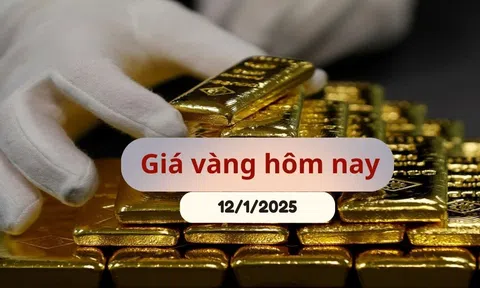 Giá vàng hôm nay 12/1/2025: Tăng cao nhất 4 tuần qua