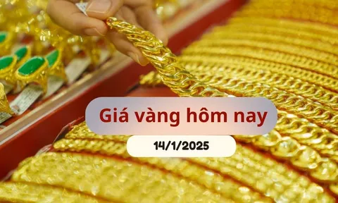 Giá vàng hôm nay 14/1/2025: Nhẫn trơn và SJC lao dốc không phanh