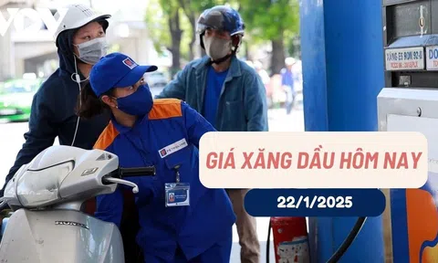 Giá xăng dầu hôm nay (22-1-2025): Lao dốc giảm sâu