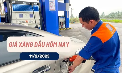 Giá xăng dầu hôm nay (11-2-2025): Tiếp đà bật tăng