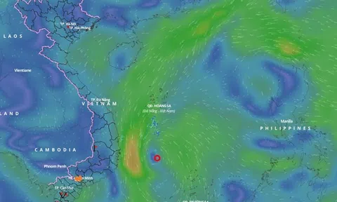 Dự báo mới nhất về vị trí và đường đi của áp thấp nhiệt đới