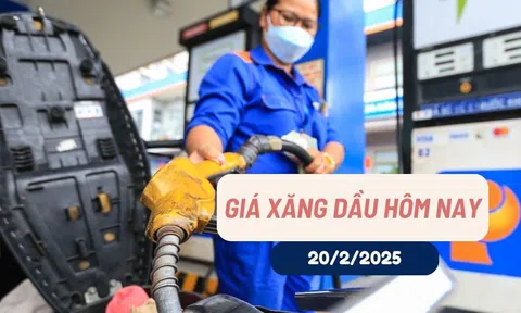 Giá xăng dầu hôm nay (20-2-2025): Tiếp tục tăng