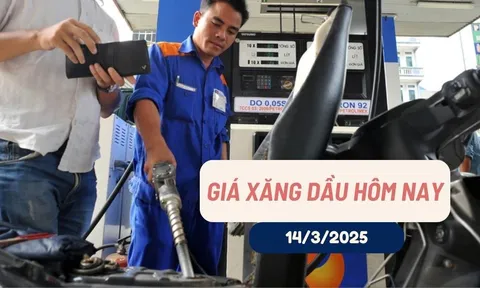 Giá xăng dầu hôm nay (14-3-2025): Xuống mức thấp nhất trong 4 năm qua