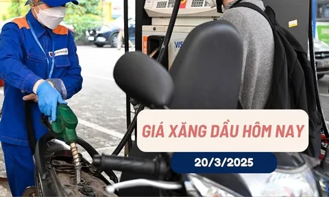 Giá xăng dầu hôm nay 20/3/2025: Quay đầu tăng sau 3 kỳ giảm liên tiếp?