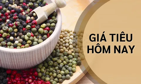 Giá tiêu hôm nay 7/8: Tiếp tục giảm sâu, vì sao Trung Quốc hạn chế mua hồ tiêu Việt Nam?