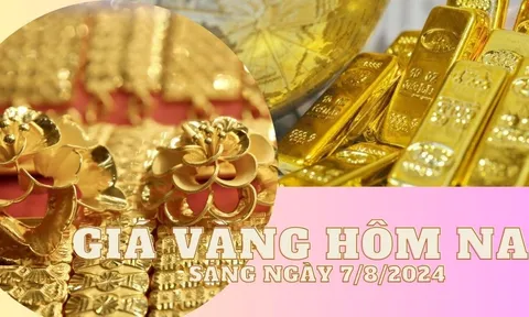 Giá vàng hôm nay sáng 7.8.2024: Vàng giảm đồng loạt