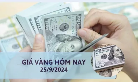 Tỷ giá USD hôm nay 25/9/2024: Đồng USD trong nước tăng