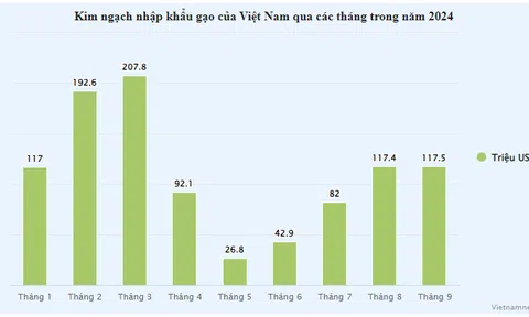 Lần đầu tiên trong lịch sử, Việt Nam chi 1 tỷ USD nhập khẩu gạo