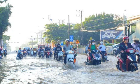 Triều cường ở Cần Thơ có thể vượt mốc kỷ lục trong những ngày tới