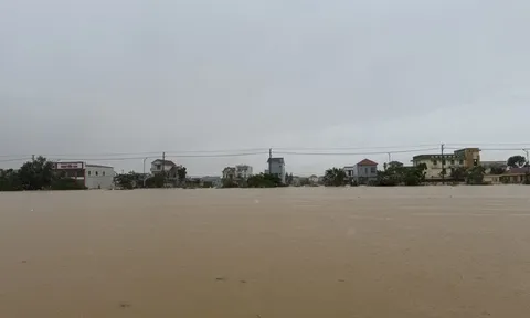 Bão Trà Mi gây mưa lớn hơn bão YAGI