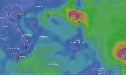 Nhận định mới nhất đường đi và cường độ của bão Usagi