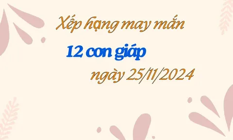 Xếp hạng may mắn 12 con giáp ngày 25/11/2024: Điểm sáng nào dành cho bạn?