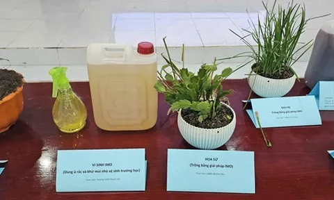 Tái chế chất thải nông nghiệp – giải pháp căn cơ cho bài toán môi trường nông thôn