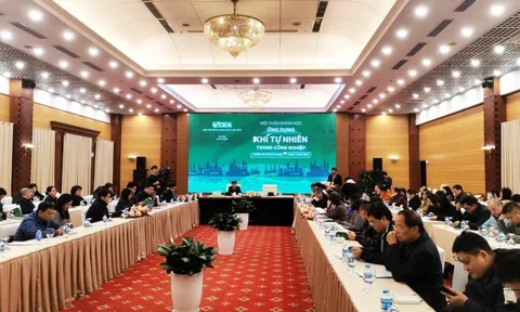 Ứng dụng khí tự nhiên trong công nghiệp hướng tới sản xuất xanh và Net Zero