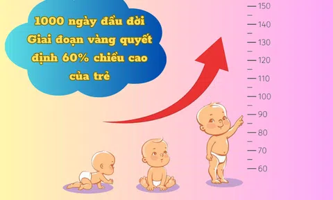 Mẹ bầu & sau sinh giúp trẻ phát triển chiều cao tối ưu trong 1000 ngày đầu đời