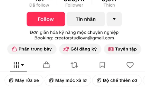 Chủ kênh Tik Tok Mộc Mực Mẹo có thể kiếm được bao nhiêu tiền mỗi tháng?