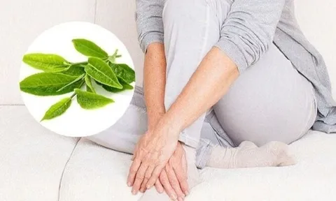 Chữa bệnh phụ khoa khỏi hẳn bằng Đông Y